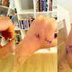 Image for article titled Why Cat Bites Are Pretty Much the Worst Thing Ever
